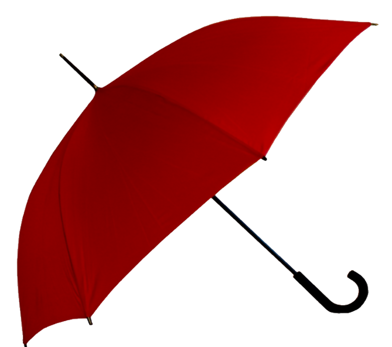 Red Umbrella Walking Tours